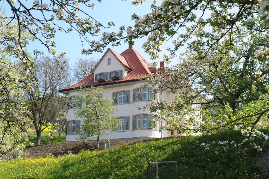 Gasthaus Schwanen & Villa Pfarrhus Штюлинген Номер фото